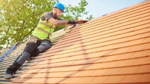 Best Roof Waterproofing  in Dryden, MI