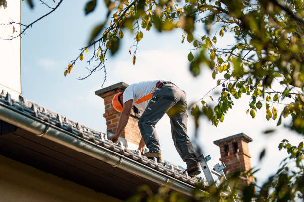 Best Asphalt Shingle Roofing  in Dryden, MI