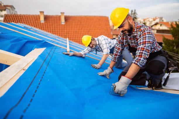 Best Gutter Installation and Repair  in Dryden, MI