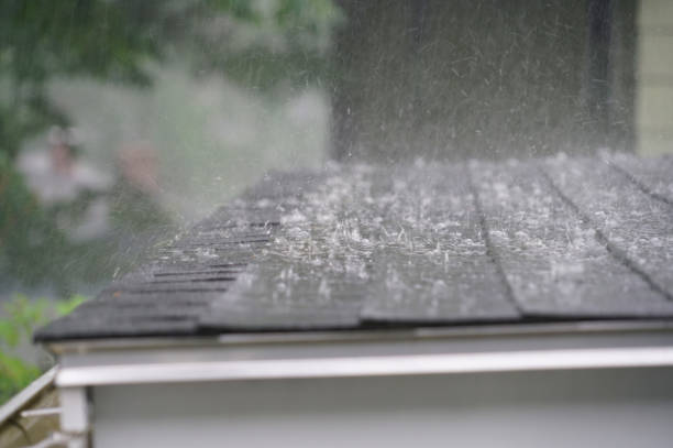 Best Wood Shake Roofing  in Dryden, MI